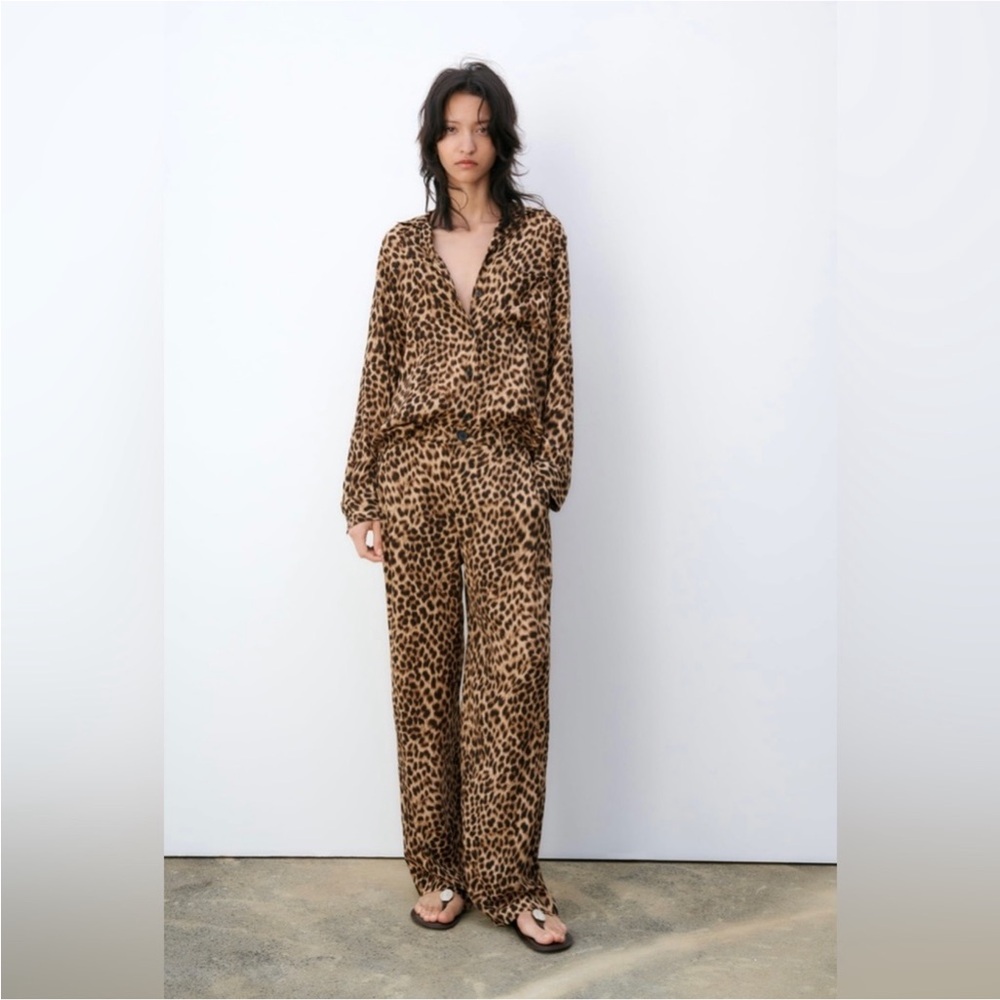 Zara 2 piece animal Print Button Down Shirt XS and Pants Size Small matching set